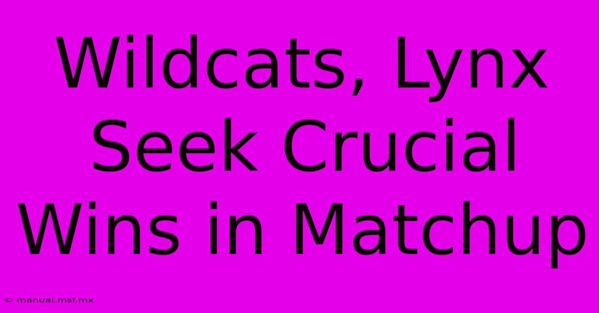 Wildcats, Lynx Seek Crucial Wins In Matchup 