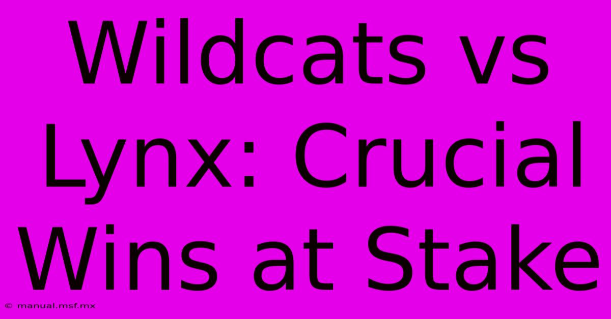 Wildcats Vs Lynx: Crucial Wins At Stake