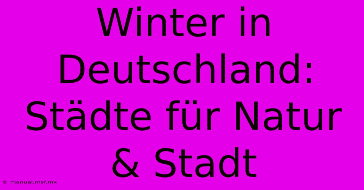 Winter In Deutschland: Städte Für Natur & Stadt