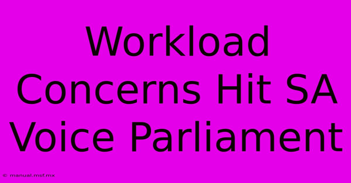 Workload Concerns Hit SA Voice Parliament