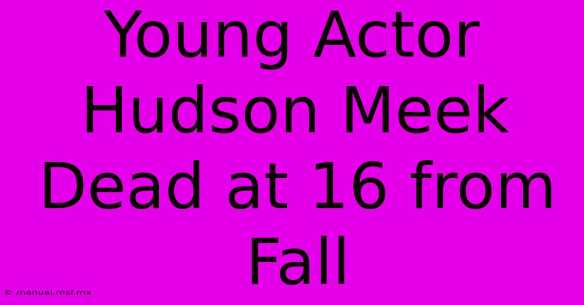 Young Actor Hudson Meek Dead At 16 From Fall