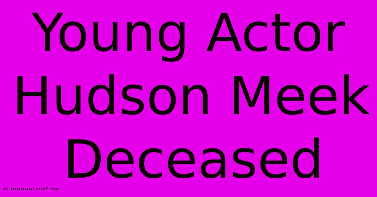 Young Actor Hudson Meek Deceased