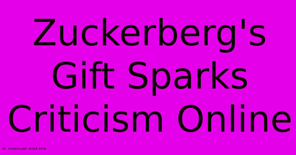 Zuckerberg's Gift Sparks Criticism Online