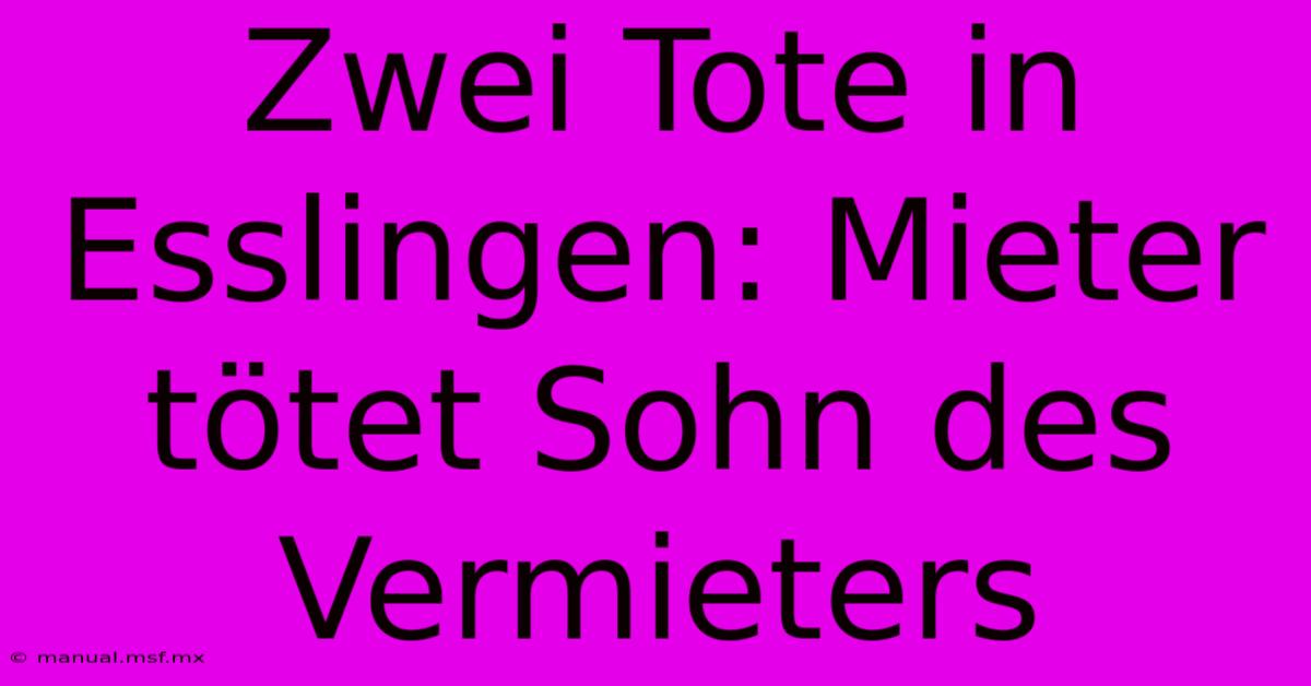 Zwei Tote In Esslingen: Mieter Tötet Sohn Des Vermieters